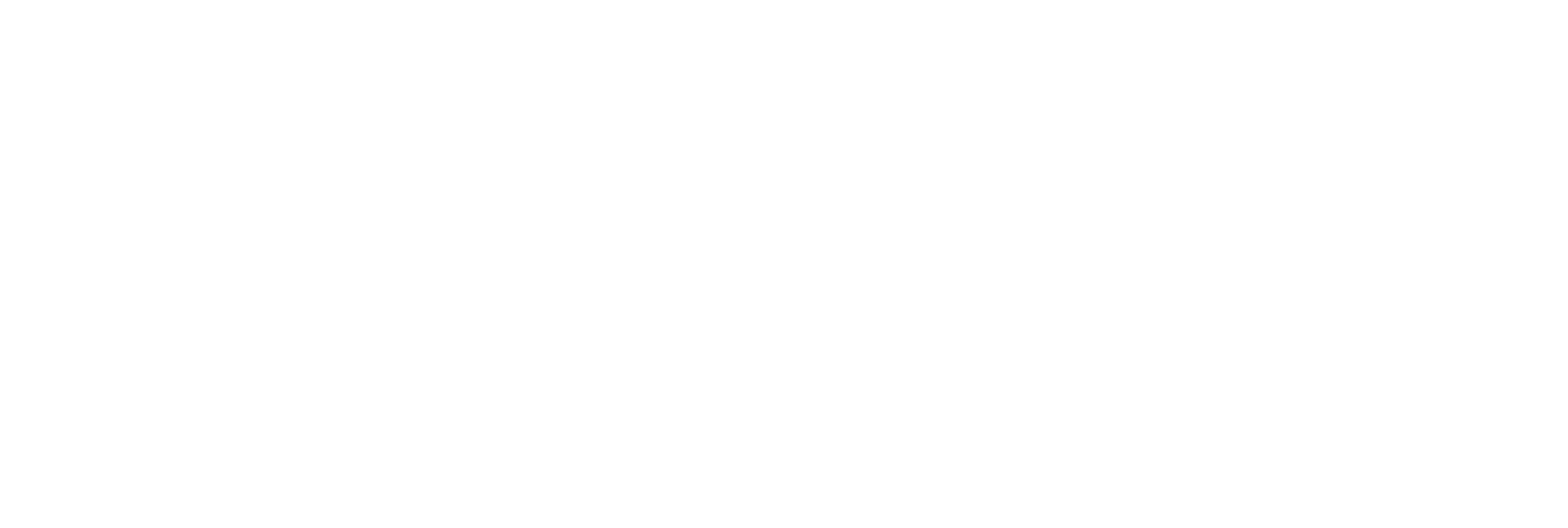 NFT Kampfsportschule Logo